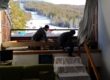 Scale in legno per interni